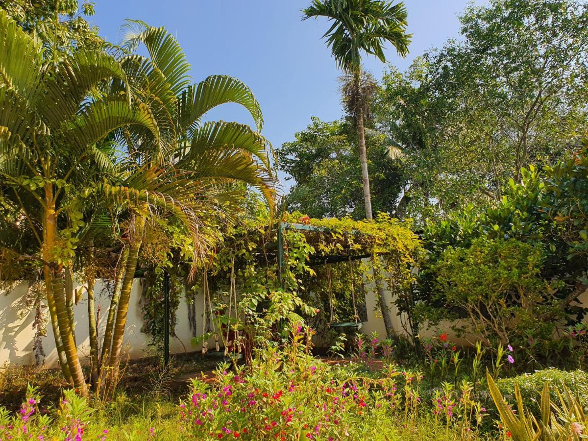 Villa My Long เกิ่นเทอ ภายนอก รูปภาพ